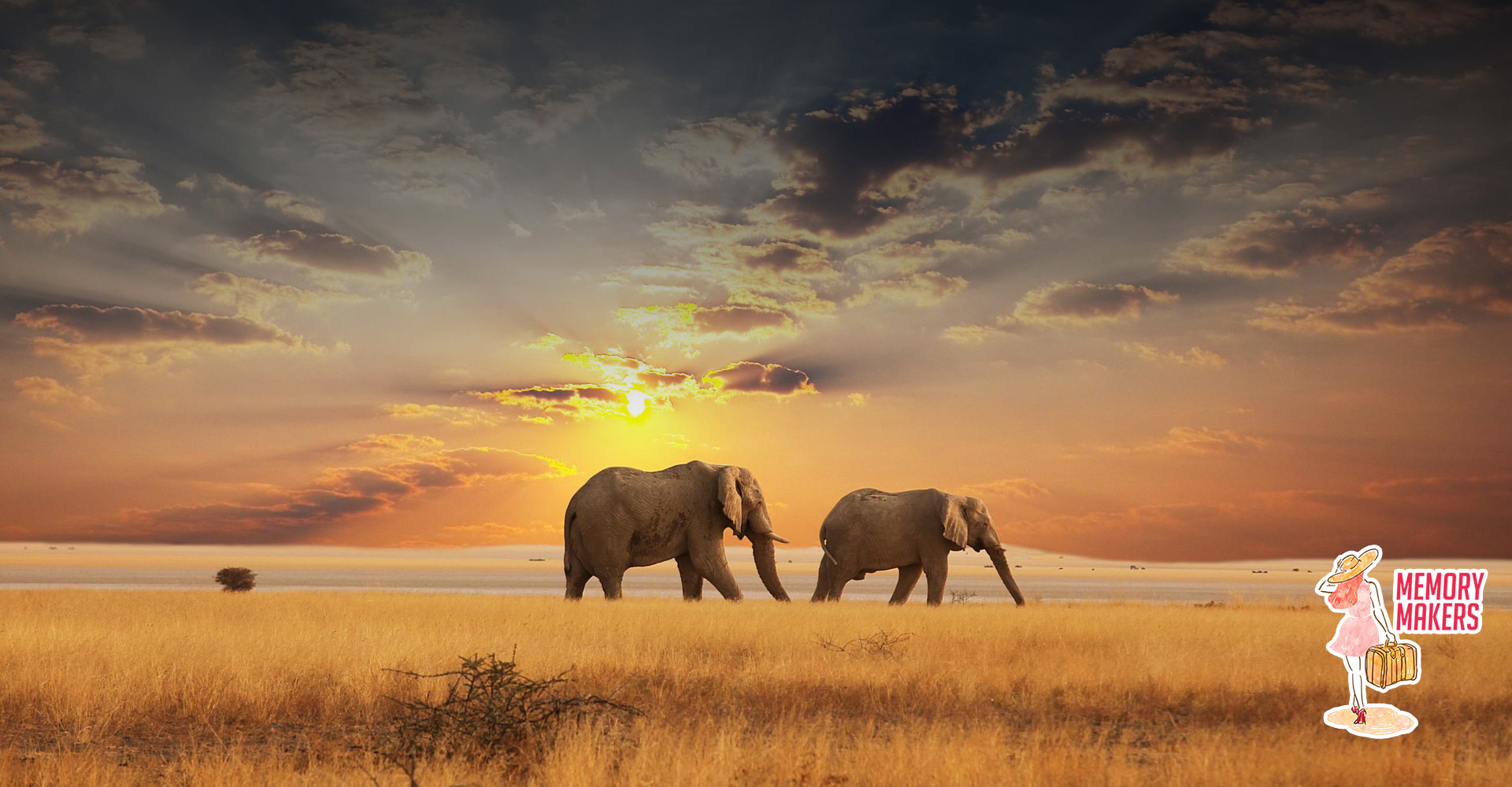 banner-africa