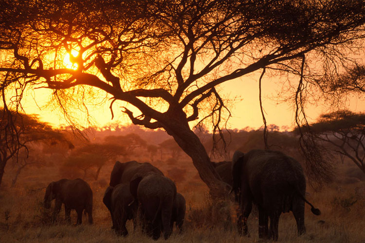 keny-tanzania