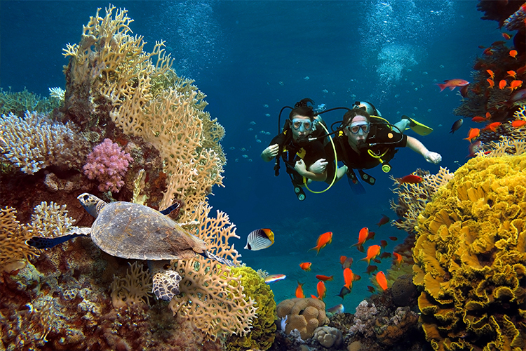 maldivs