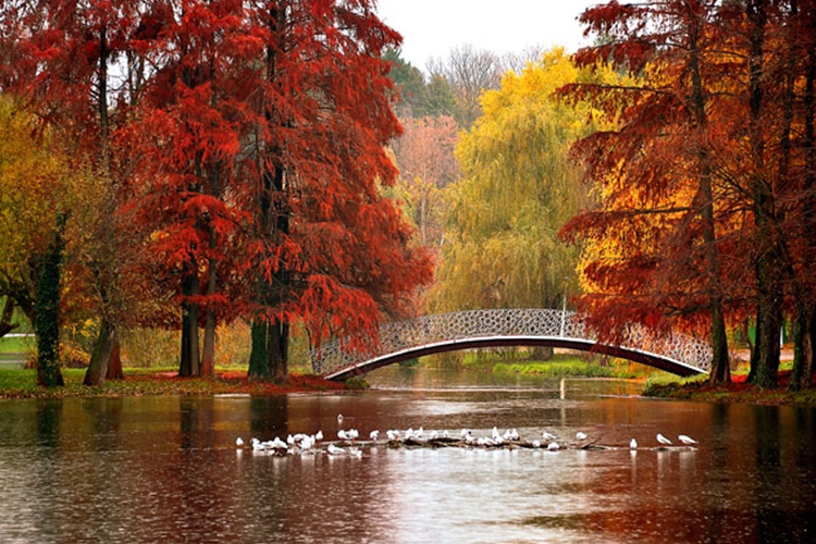 romania